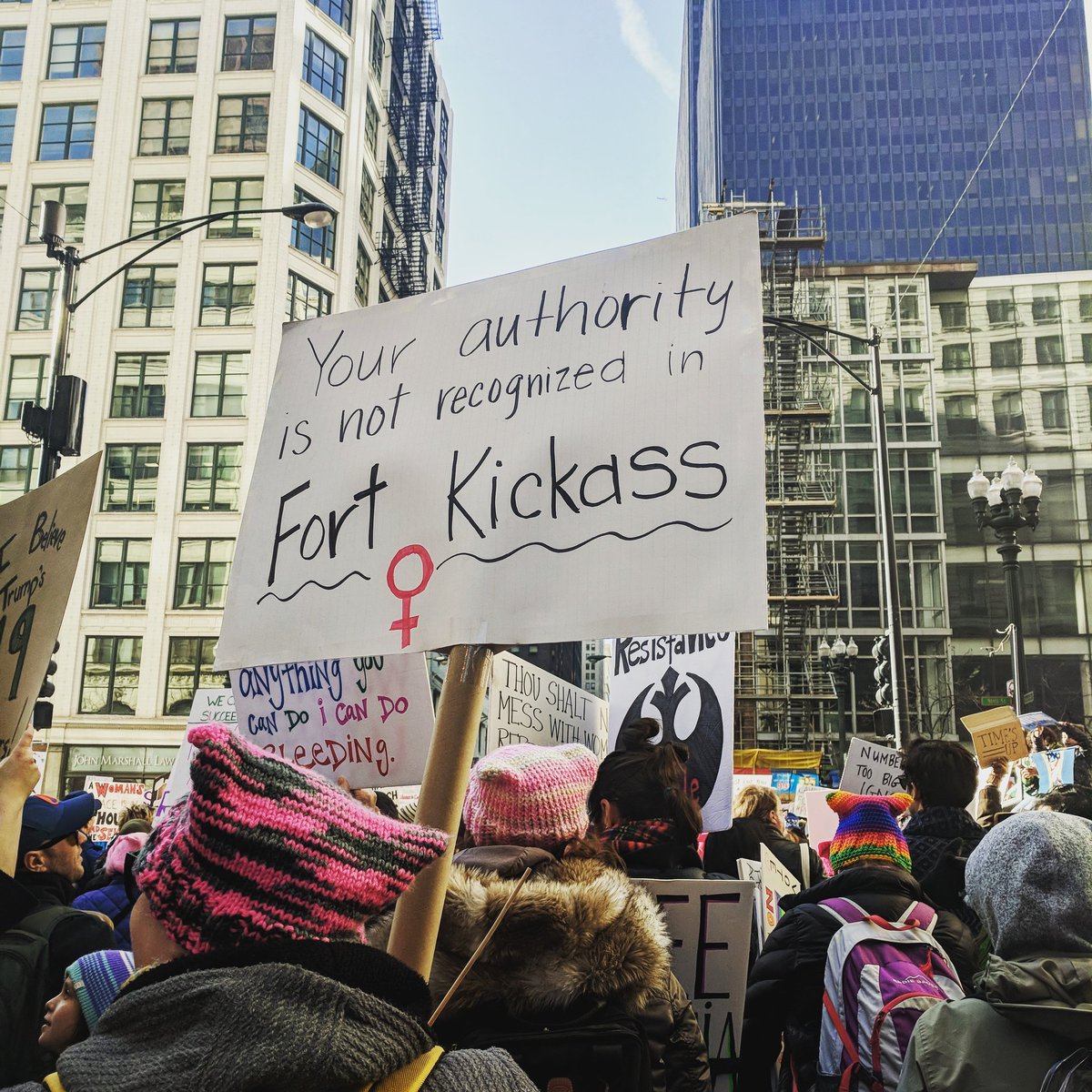 kaitlen's tweet photo. My favorite sign at the Women's March.

#WomensMarch2018 #WomensMarchChicago #FortKickass https://t.co/WBQaVn7qQl