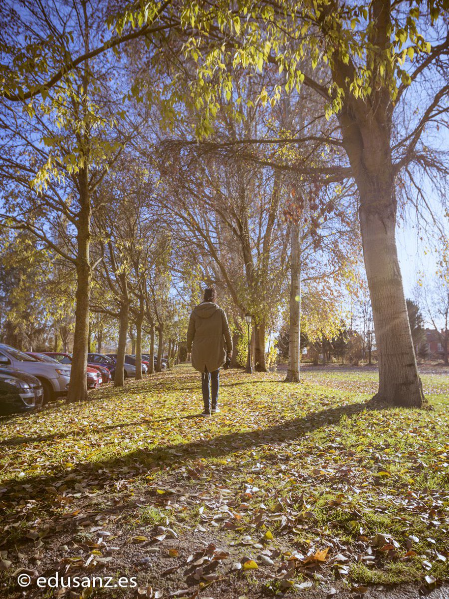 Es importante tener amigos con tu mismo desorden mental 😊 <a href="/miri_agp/">Miri</a>