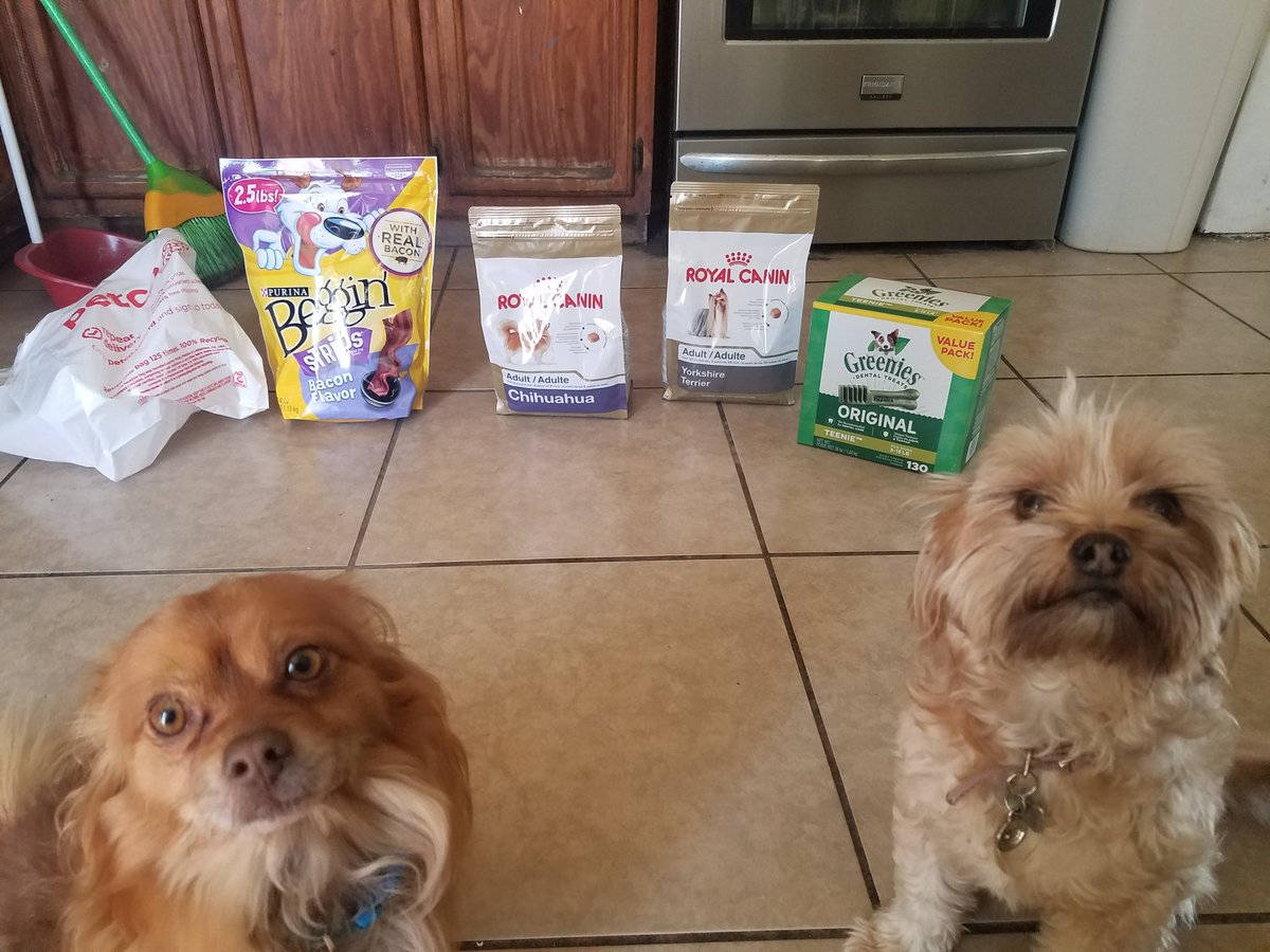 Rigys_'s tweet photo. @munchieshero thanks to munchies for hooking up my dogs with food thanks G legit 💯 https://t.co/XVAQaTMfBG