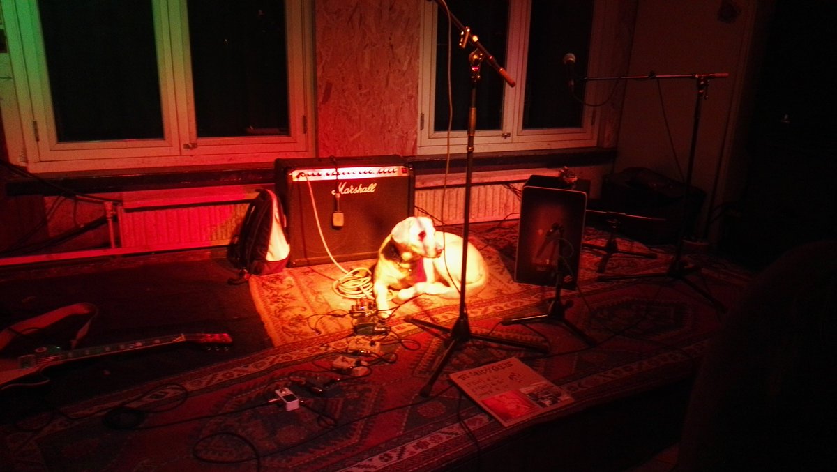 The Shady Greys zijn klaar met de sound check. Dus kom nu naar de  speeltuin. Kan je hun volledige set zien, horen en voelen