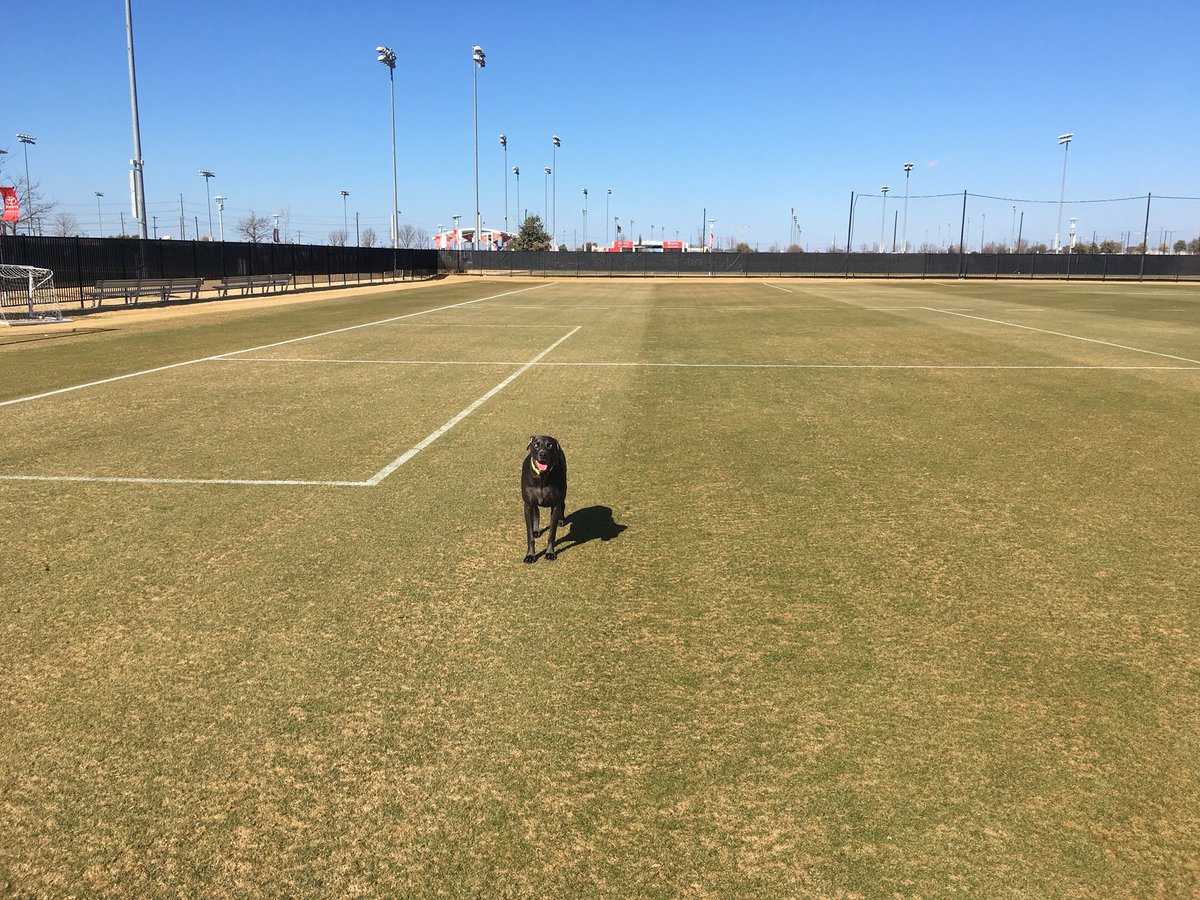 sPORTs_grass's tweet photo. 2 a days start Monday! We ready for ya. #dogtested https://t.co/XZAYBK7rUv