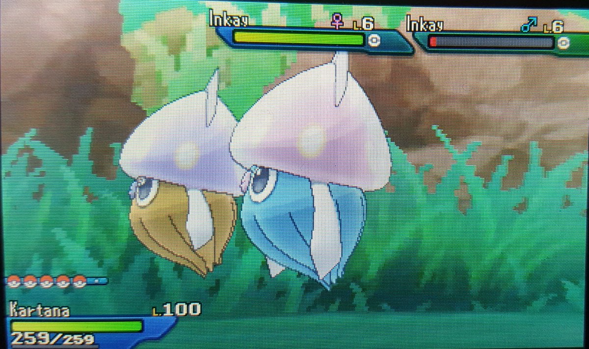 Stayshiny23's tweet photo. Sometimes changing hunting method is good.. I was so tired of looking for kyogre and decided to start a chain.. A lil good SOS Chain is always a great thing.. First #SOSChain of #UltraMoon #Pokemon #Shiny #ShinyInkay #ShinyPokemon #ShinyLivingDex https://t.co/ajpYfbtUP9