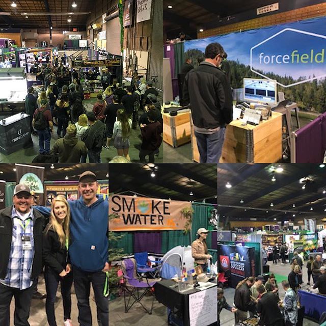 thcfair's tweet photo. More fun from #thcfair today!! We had a blast and can’t wait to do it again tomorrow 11-5 #legalweed #cannabis #cannabiscommunity #hemp #oregonweed https://t.co/ChqFWzrvme https://t.co/g6FeY0dZPu