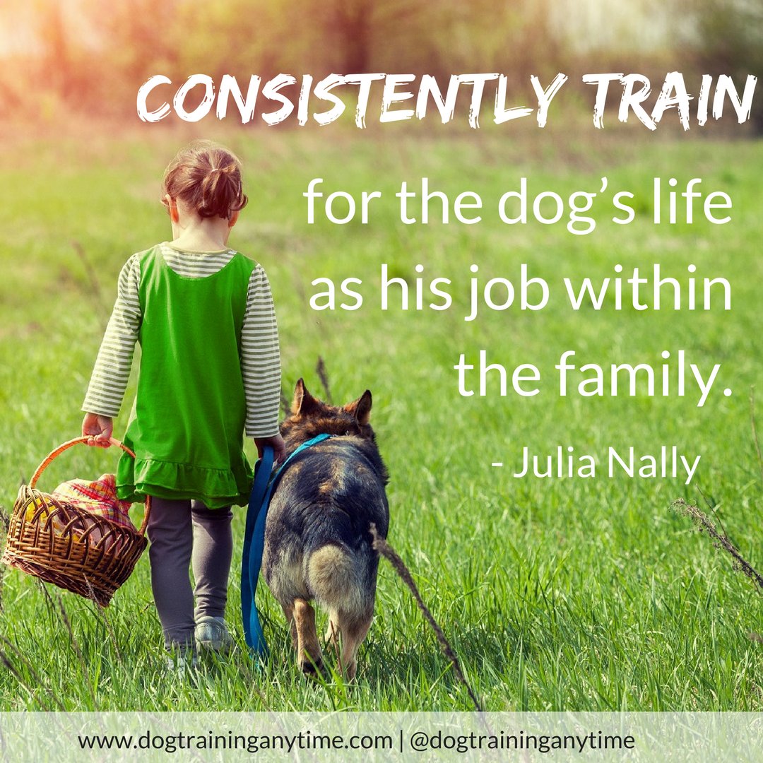 petcareanytime's tweet photo. CONSISTENCY is one of the keys in training your dog. https://t.co/CRxKe7RaYH