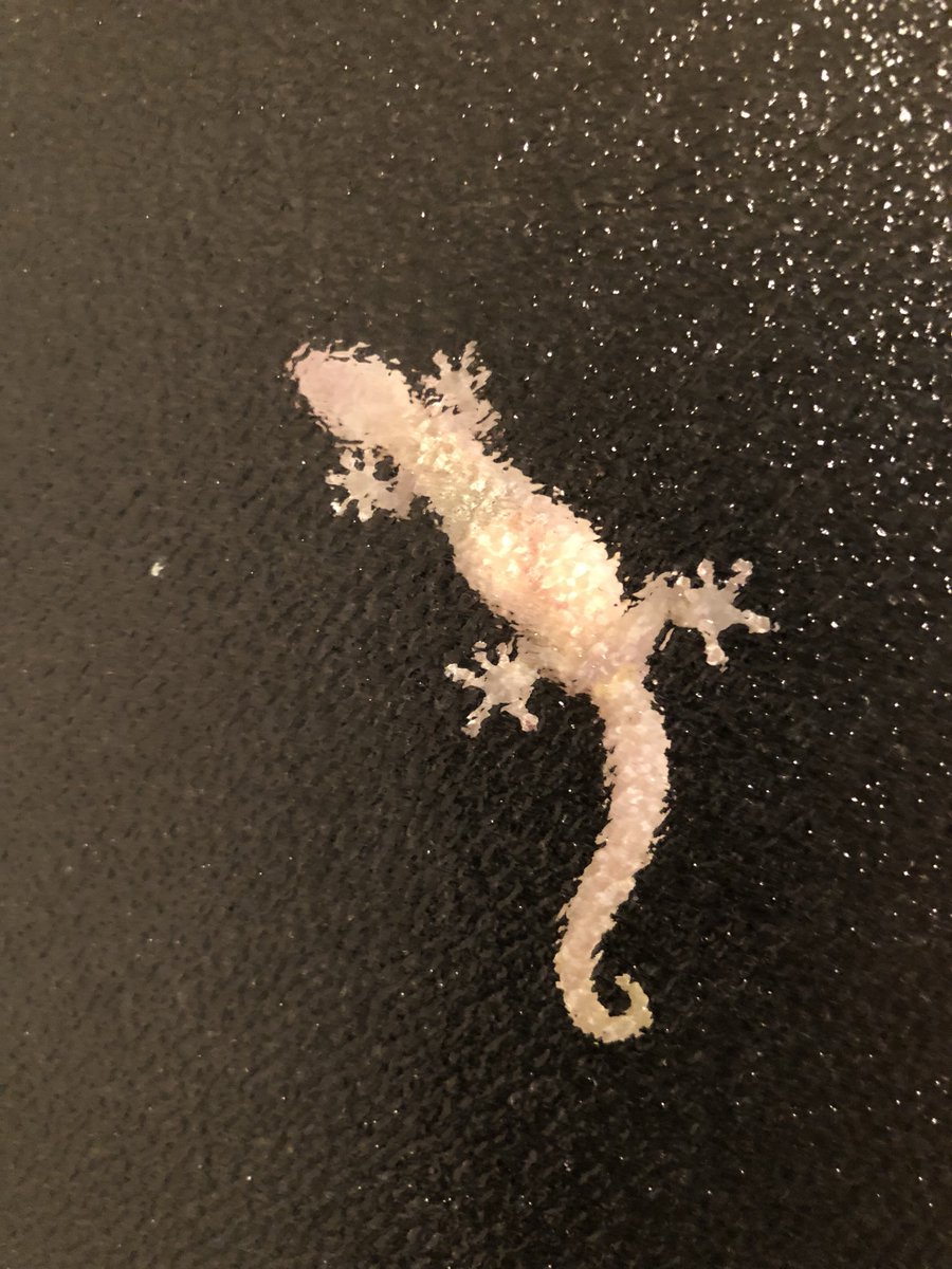 Christine Hartmann tweet media