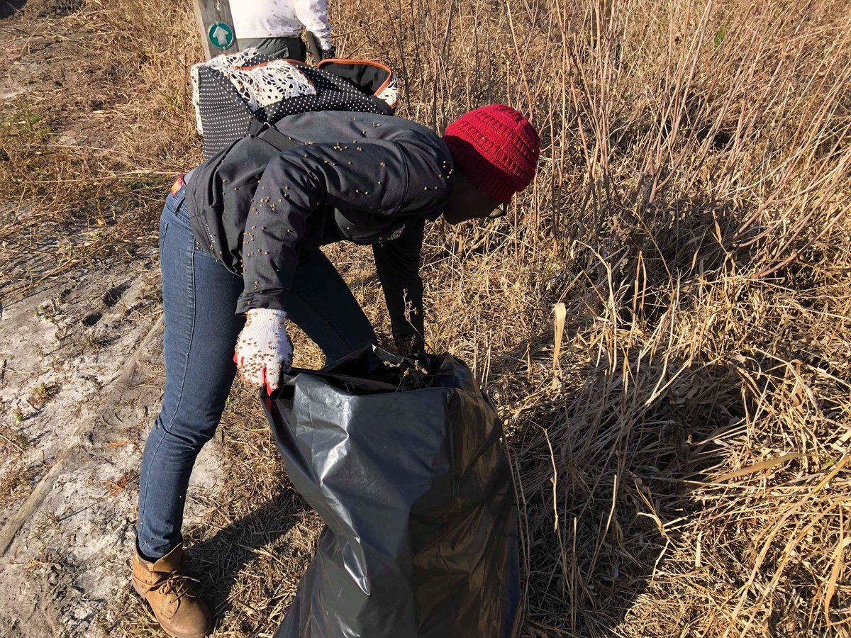 vucfenvironment's tweet image. Thank you to all our volunteers for helping remove invasive Tall Tails and Caesar Weeds from Eagles Roost Park!