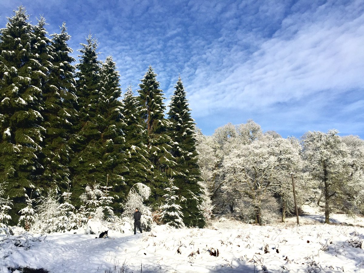 Gillw10's tweet photo. The Trossachs really suits all this wintery weather! Lovely to escape city life and spend my down time tiring out the doggo in @lomondtrossachs https://t.co/MreFICSJLL