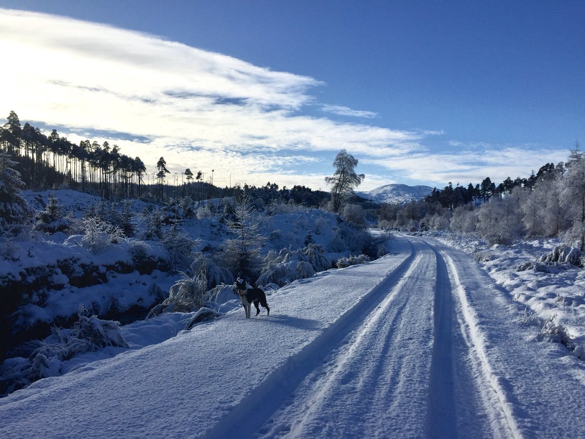 Gillw10's tweet photo. The Trossachs really suits all this wintery weather! Lovely to escape city life and spend my down time tiring out the doggo in @lomondtrossachs https://t.co/MreFICSJLL