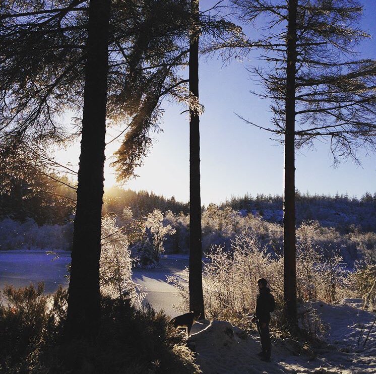 Gillw10's tweet photo. The Trossachs really suits all this wintery weather! Lovely to escape city life and spend my down time tiring out the doggo in @lomondtrossachs https://t.co/MreFICSJLL