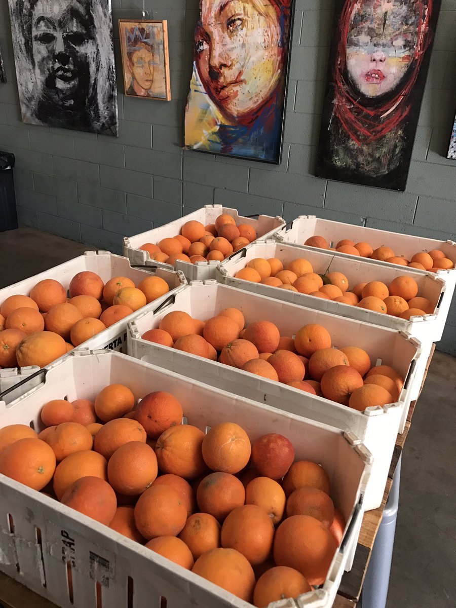 FrogtownBrewery's tweet photo. Stopped by the farmers market to pick up some Blood Oranges today... new beer coming soon 🍊🍊 https://t.co/Bycu7QPMAT