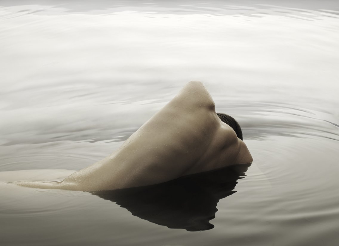 PhotoCulture's tweet photo. Klaus Kampert @KampertMail - “Water Creatures 2”
Selected by Julia Dolan @curatorpdx, Curator of Photography @PDXArtMuseum.
https://t.co/1Lz6pexu2W https://t.co/vIxOeGeCBF