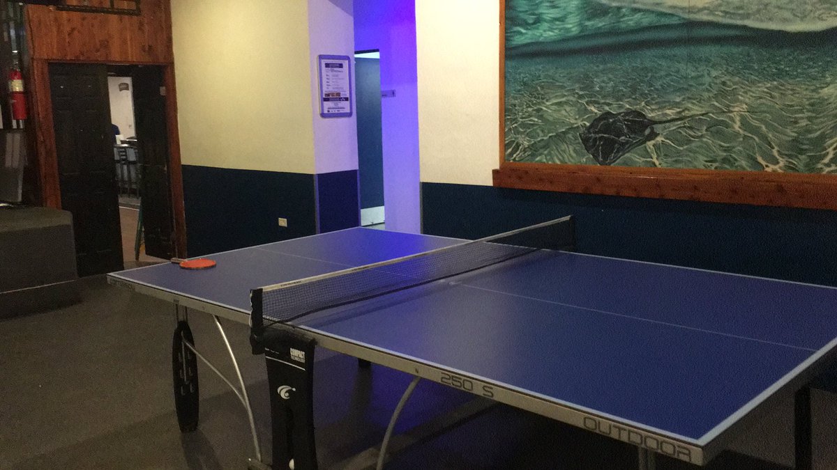 tornchaser's tweet photo. Competition requested at #docksiders #bermuda. Crushing the locals. https://t.co/W2eJOUlLn0