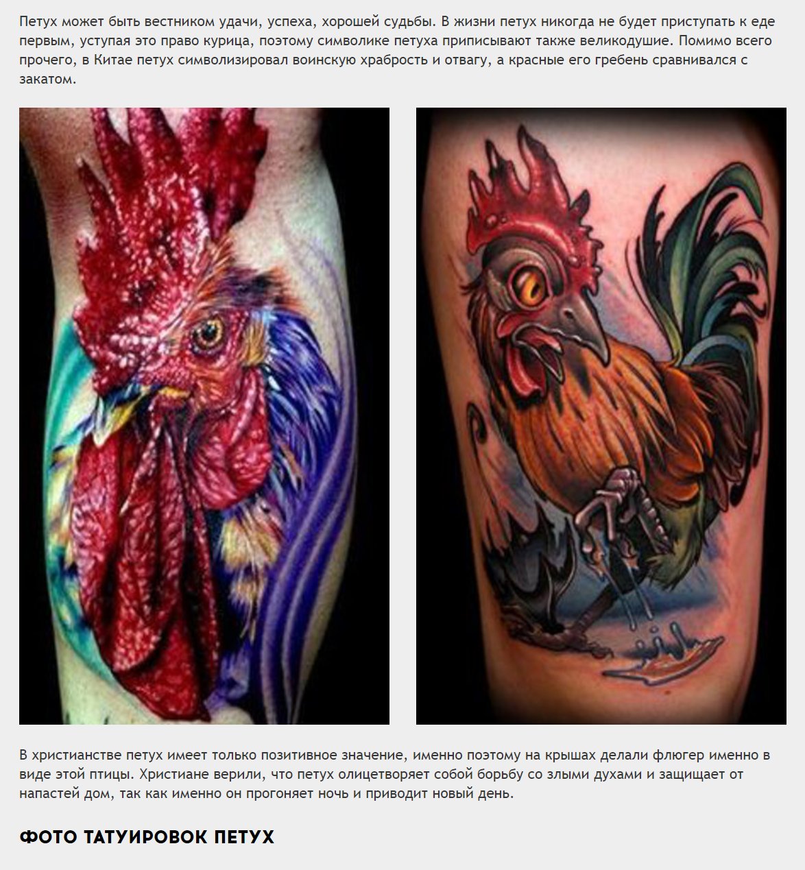 DUBQODLXUAA-bzC.jpg:large