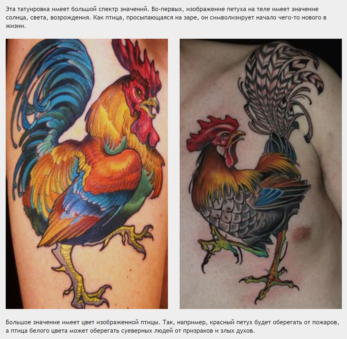 DUBQeH9UQAApr2u.jpg:large