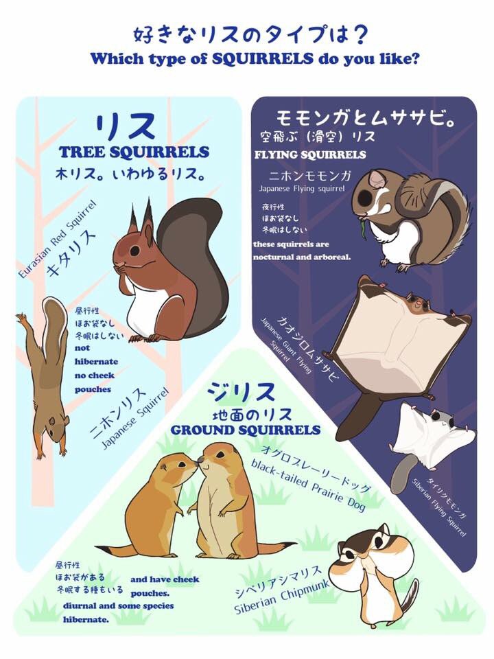 まーちゃんさま】vintage squirrel ❀ ゼンマイ仕掛けのリスさん Maki