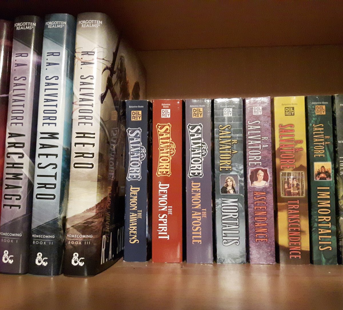 PaulPratten's tweet photo. @r_a_salvatore , my shelf of unread Salvatore books. 😔 Child of a Mad God will be added to this. I hope to read all of them this year! 😊 https://t.co/19cj3uB7dr