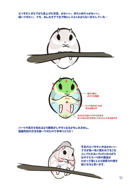 リスについて知る日のtwitterイラスト検索結果 古い順 リスについて知る日のtwitterイラスト検索結果 古い順
