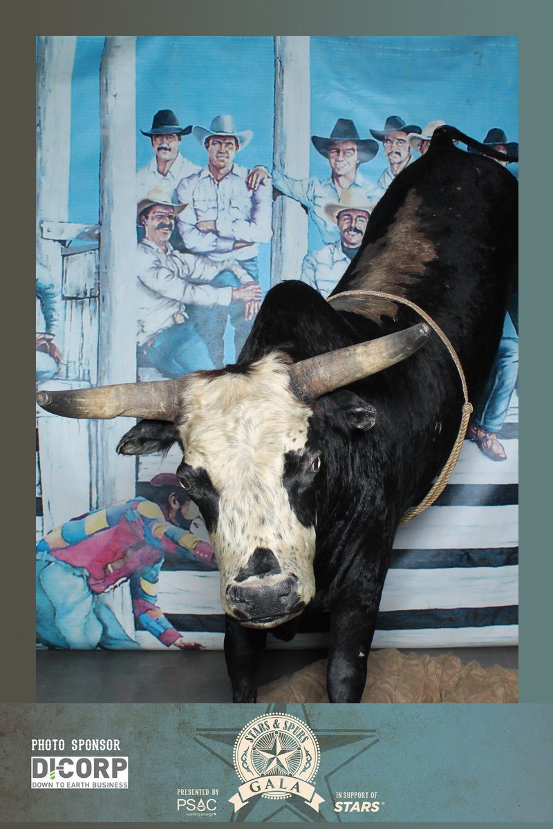 PictureThisYYC's tweet photo. Fred the Bull is ready to rock The Stars and Spurs Gala! #StarsAndSpursGala https://t.co/kfiWHcGkRL