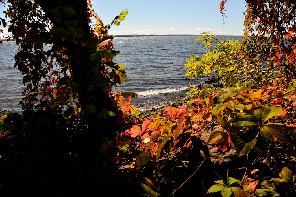 Karmic Flares caslworks.com/2015/10/08/kar… via <a href="/CASLworks/">CASLworks</a> #poem #photography