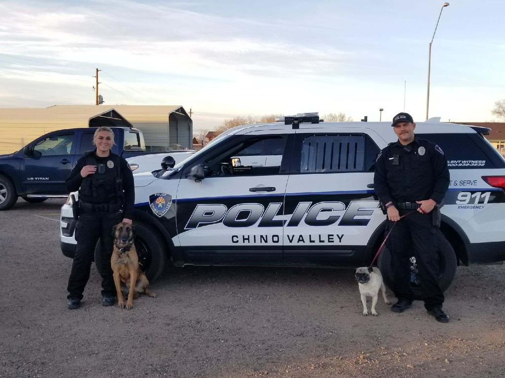 CVPDAZ's tweet photo. Our staff found a #DogAtLarge today. Thinking of adding this one to our #K9 squad, maybe #Pugs can find the #Drugs!!! If he is yours please contact our shelter. Also we will need to teach #OfcJAngel to smile more! Maybe it is the #Stash!! Life is to short to be so serious!! https://t.co/l8MeFDfTZM