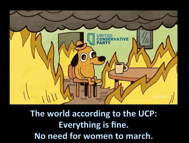 The world according to the UCP. #Abpoli #Ableg #Womensmarchyyc #WomensMarchYEG