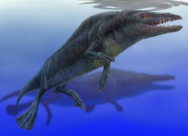 everydaylouie's tweet photo. continuing my wikipedia dive into cetaceans, here is a horrifying early whale: Rodhocetus https://t.co/O7Ly1MDwOS