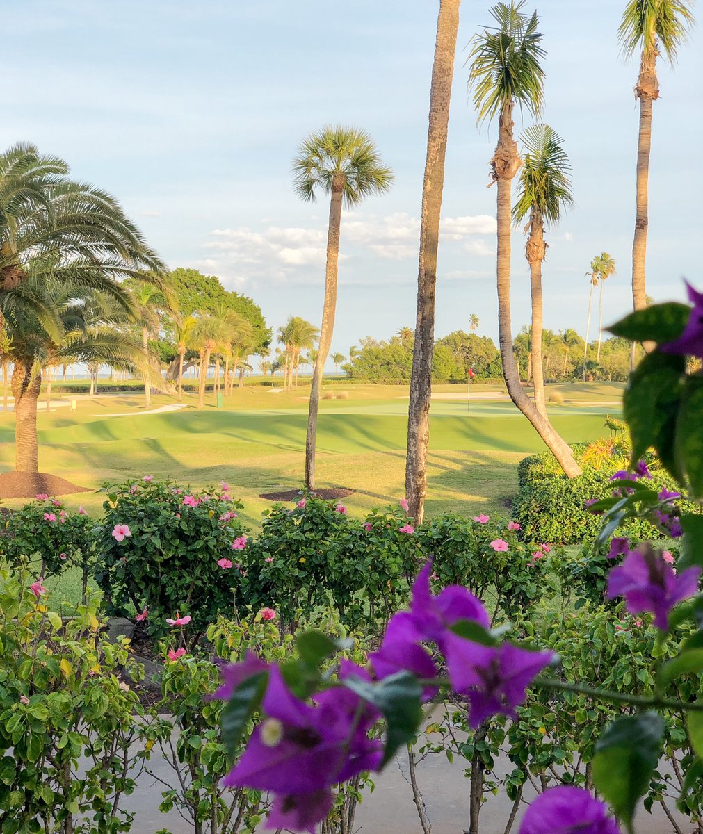 compassandtwine's tweet photo. The gorgeous #GasparillaInn private 18-hole course, designed by Pete Dye ⛳️ •
#compassandtwine • #InnOurView #petedye #golfcourse #iphonex https://t.co/mEqvCkwpfO