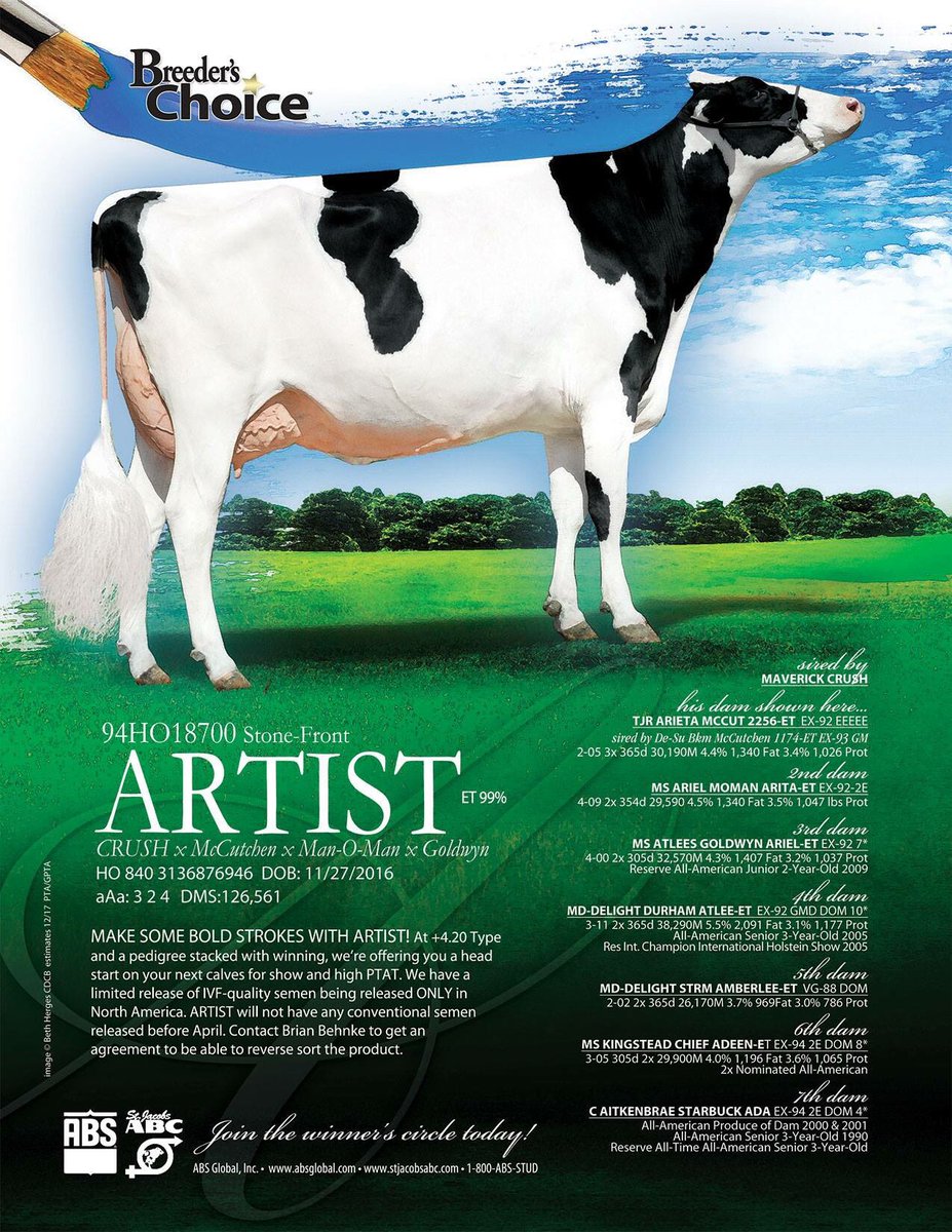 We are kicking off #StJacobsSaturday with a special opportunity. 94HO18700 ARTIST is one of the most exciting bulls to ever be released by St. Jacobs and we are offering limited doses of IVF only semen! Get a jump start on calves from the +4.20 type son of 94HO17998 CRUSH!