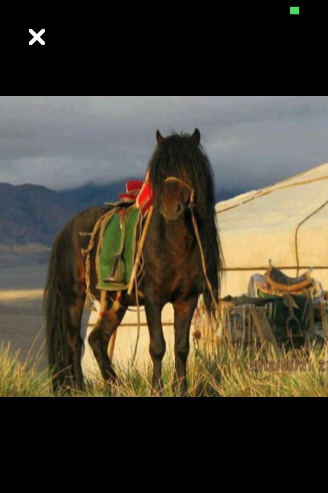 smart1800's tweet image. 