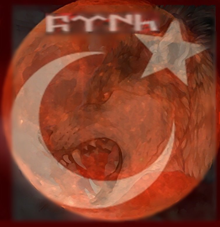 kingwise1's tweet photo. türk balası kurt olur bastıgı yer yurt olur allah ordumuzun yar ve yardımcısı olsun https://t.co/lXVkJttA91