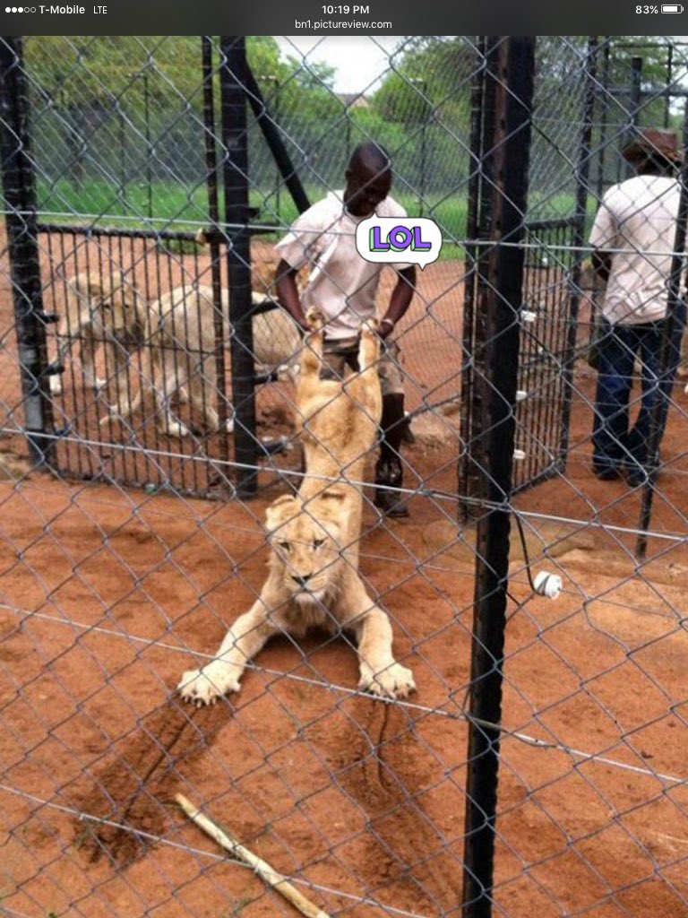 I'm fine where I am thanks.