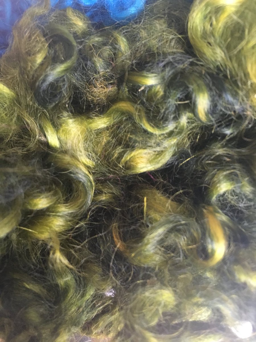 fibrecraft's tweet photo. Lots of new fleeces being washed and dyed this week. Check out our new products at Fibrecraft.ca โcreate Artโ #fibre #fibrecraft.ca #needlefelting #felting #wool #handdyed #sheep #woollocks #lincolnfleece #fibreart https://t.co/SRjlnyKS6l