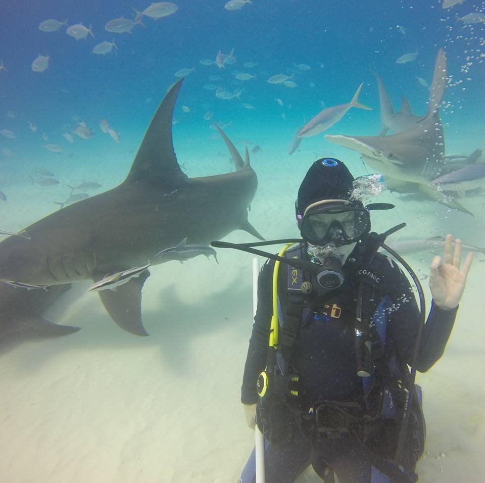 PhoenixDowne's tweet photo. @OliverMcGee I am proud of him but I wish he would form a different opinion about sharks! I want to take him shark diving! https://t.co/TOT3qOhhEl
