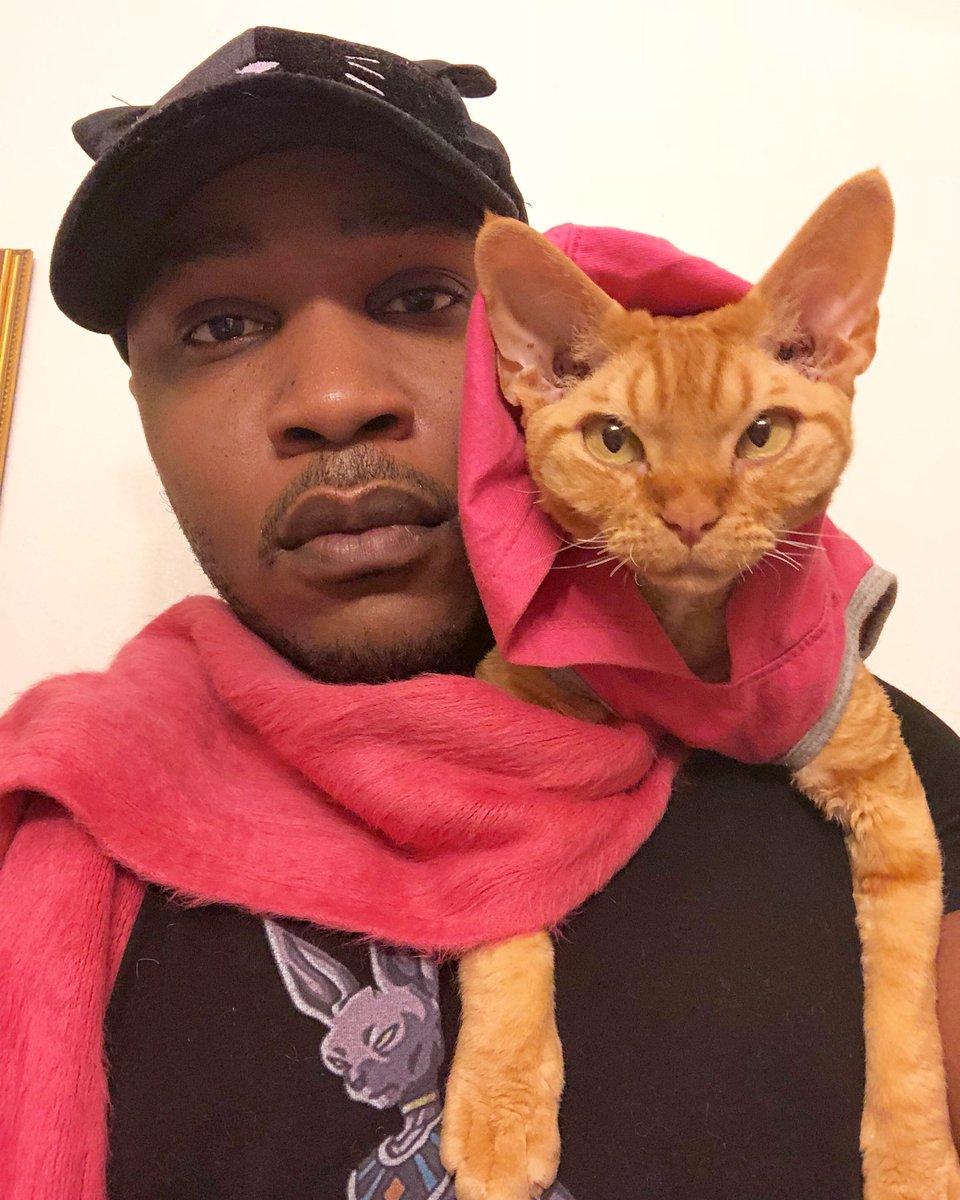 iammoshow's tweet photo. My cat Dj Ravioli and are feeling super sexy in this pink right meow. Retweet this if you feel samsies https://t.co/vLTRlUkVqj