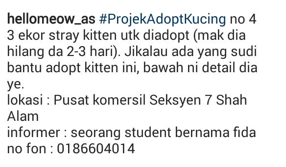 hellomeow_as's tweet photo. #ProjekAdoptKucing no 4

please RT 😢

loc sek.7 shah alam.
@bujibu_chempel @ulat_bulu_bulu @HaiwanJalanan https://t.co/lbLbljO5jq