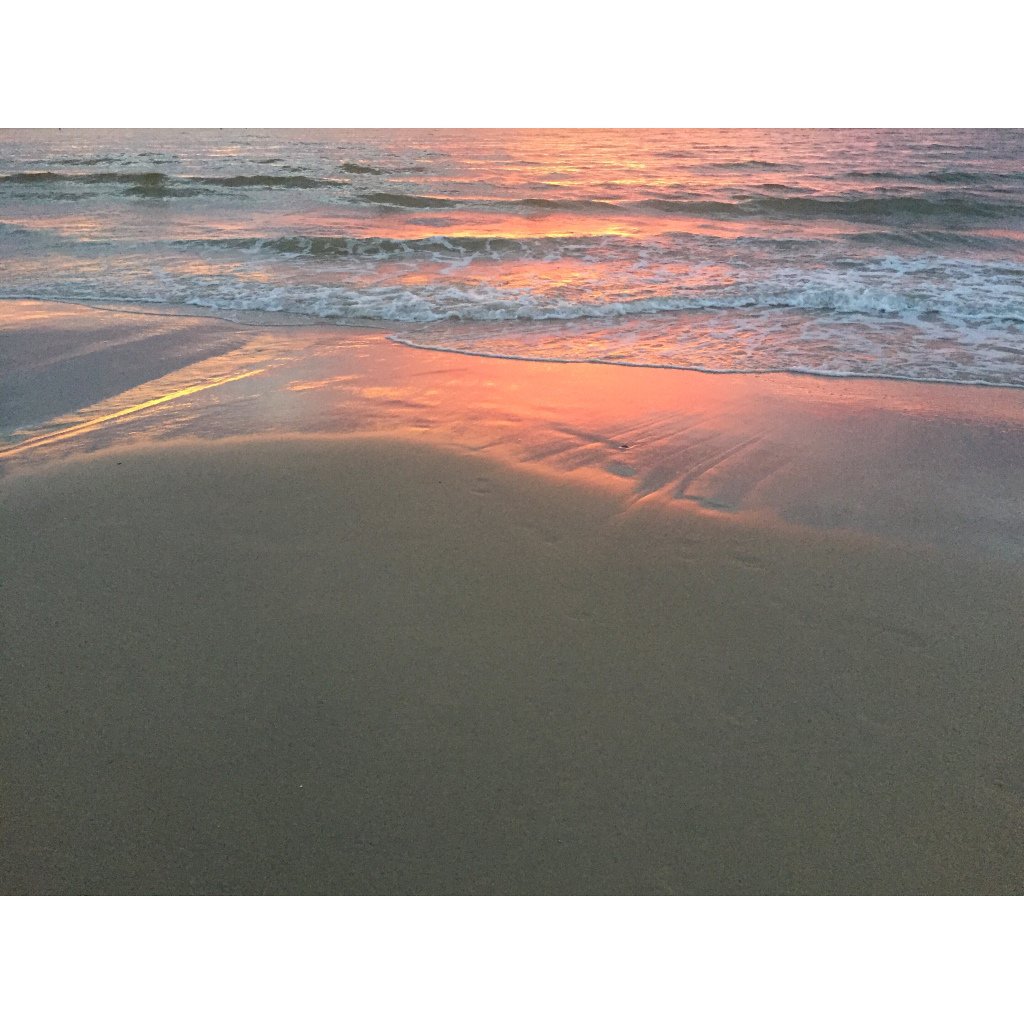 NatBrunoli's tweet photo. summersday https://t.co/c4CbBuDzu6 https://t.co/vLXkYEaxhn