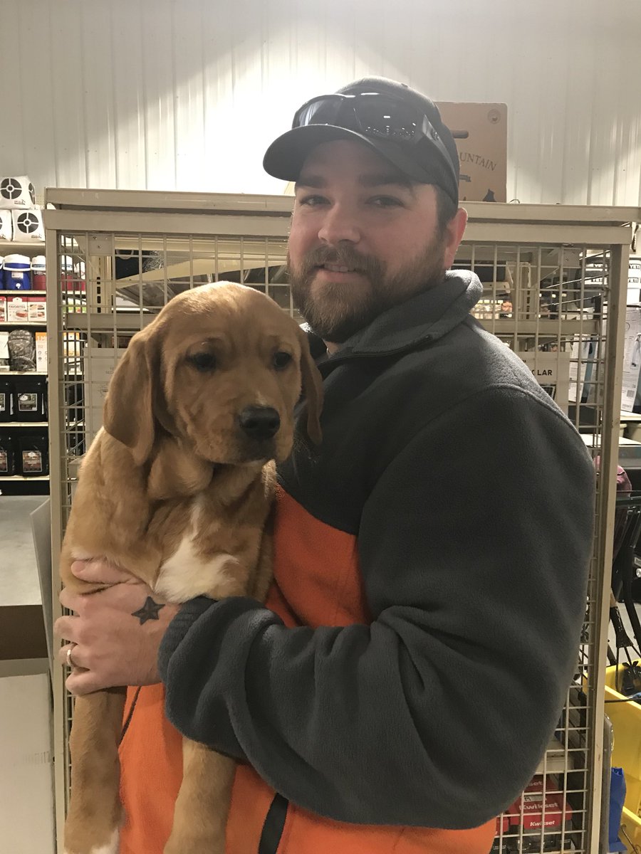 aaoresq's tweet photo. Love happy stories. The last puppy that was left for adoption was adopted last minute #adopted #completefamily https://t.co/eDBxU4vDSE