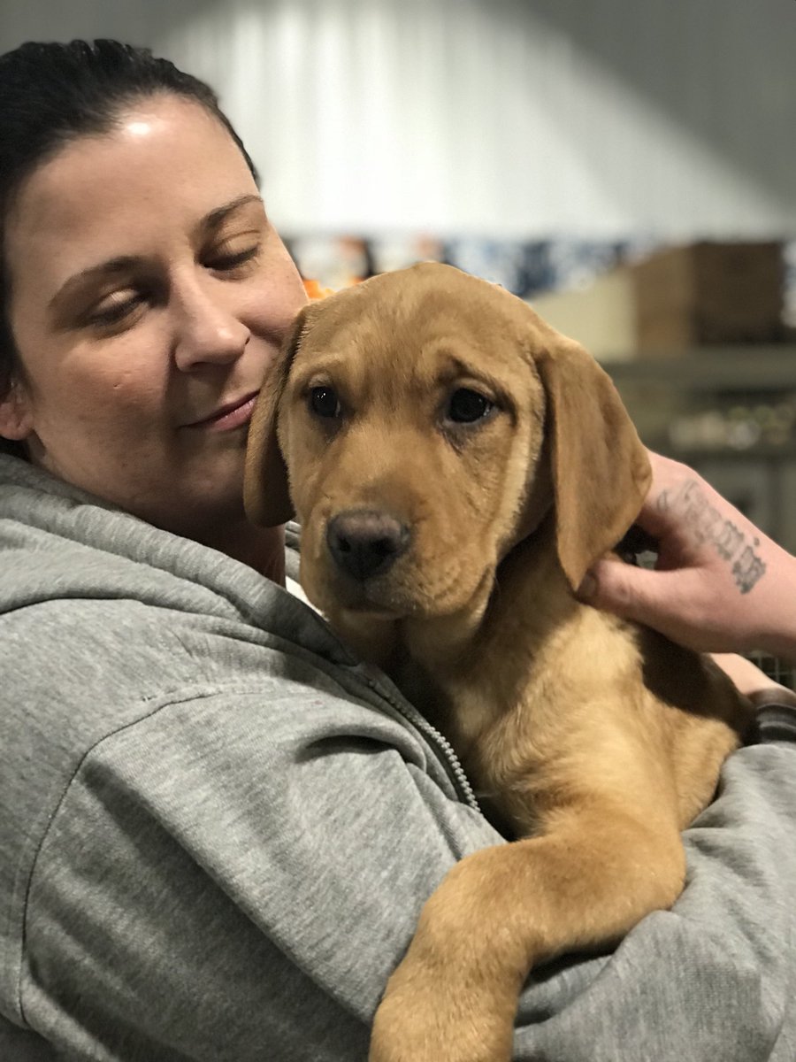 aaoresq's tweet photo. #adopted #completefamily https://t.co/drOKv9zO9k
