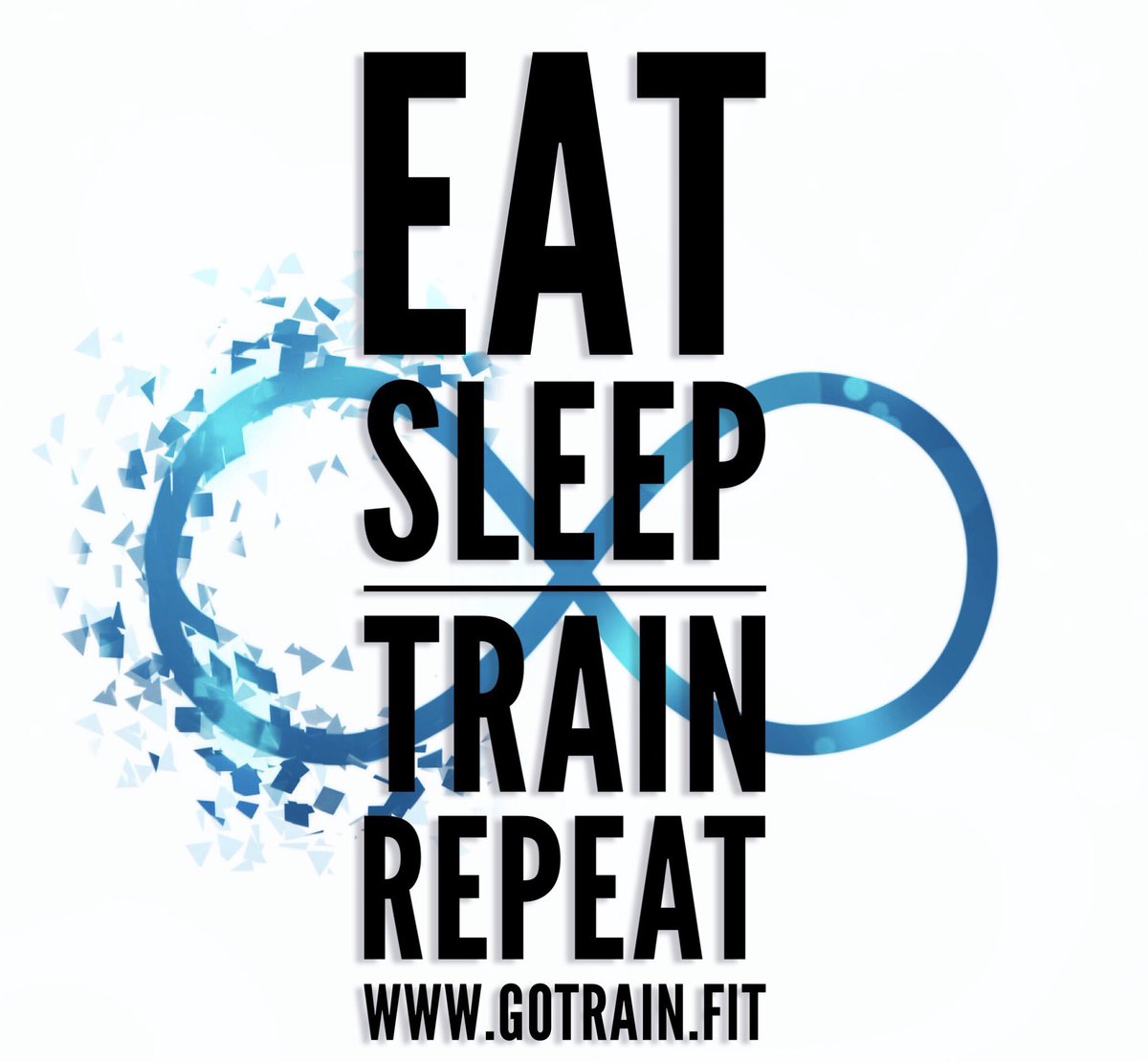 GoTrain.FIT tweet media