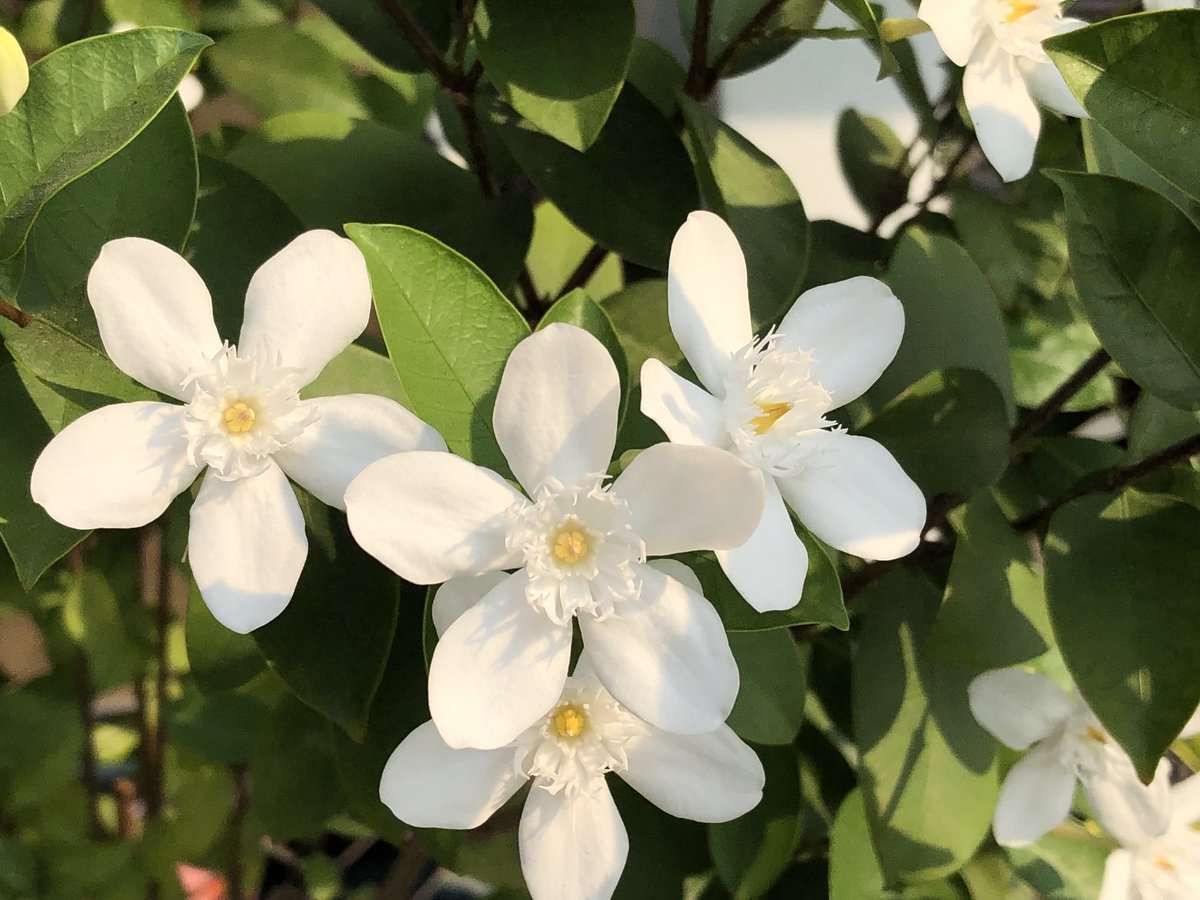 รีดเหงื่อแล้วชื่นใจ