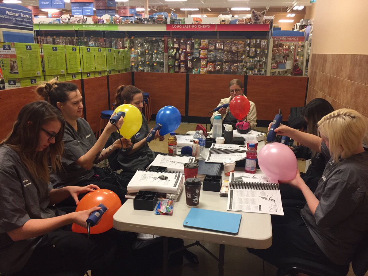 grammar2824's tweet photo. Clipper exercises and communication role play during week 1! #groomingacademy #petsmart #DATlife @ThatJenKelly @BrandenKennedy3 @robsmithbluejay @JPinera_QE @JoannaZucker https://t.co/mFyNvRr4UQ