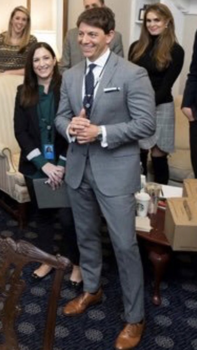 SilWindow's tweet image. Poly