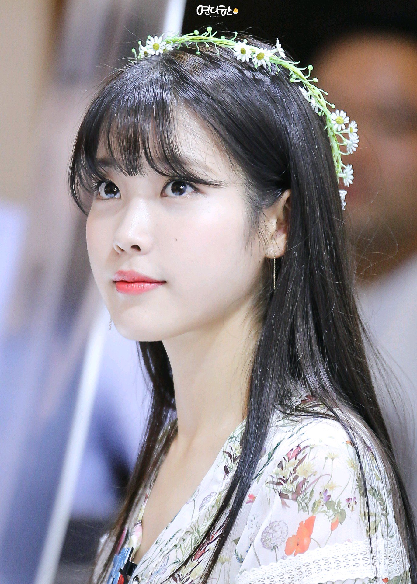 Lily Lily