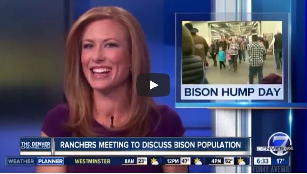 Bison Life tweet media