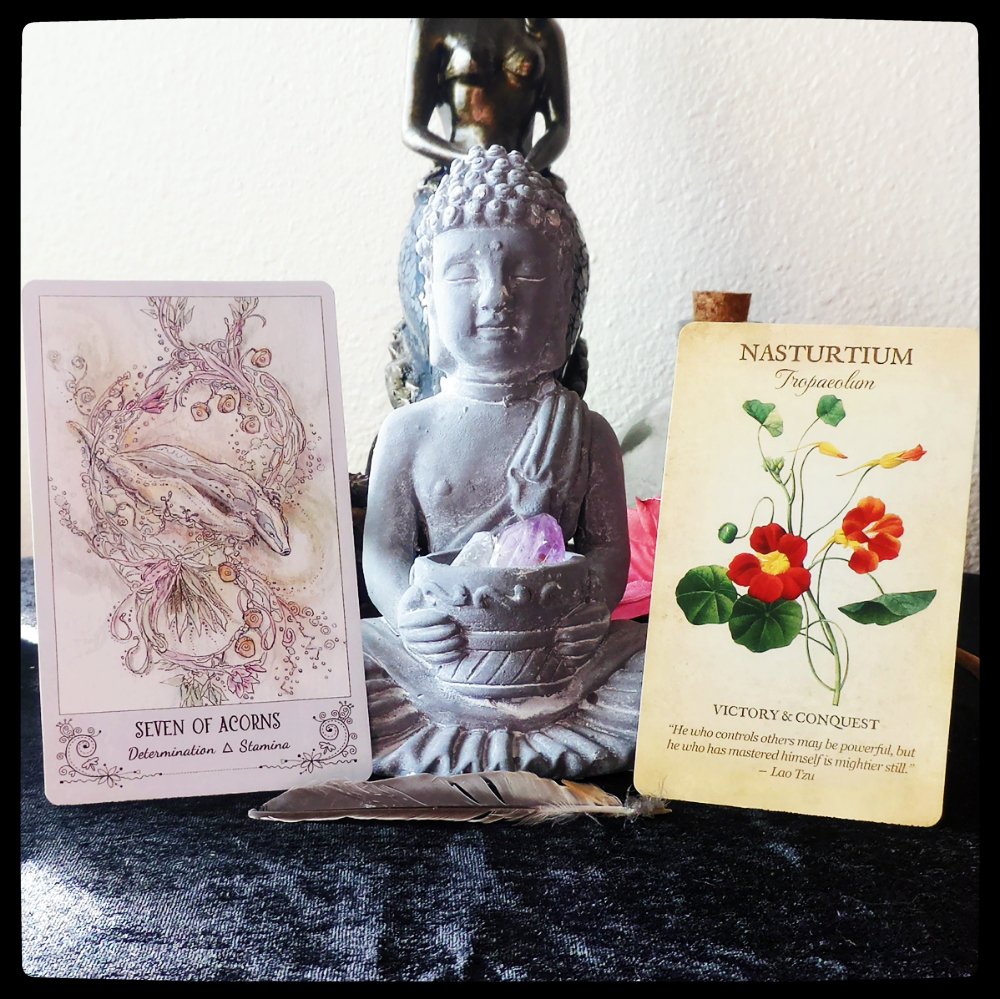 WillowGroveMyst's tweet photo. #DailyTarot Onward to Victory! https://t.co/qHHXkLV5Ow https://t.co/iaj01CORoi