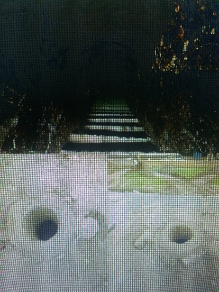 halil0 (@halil069749262) on Twitter photo 