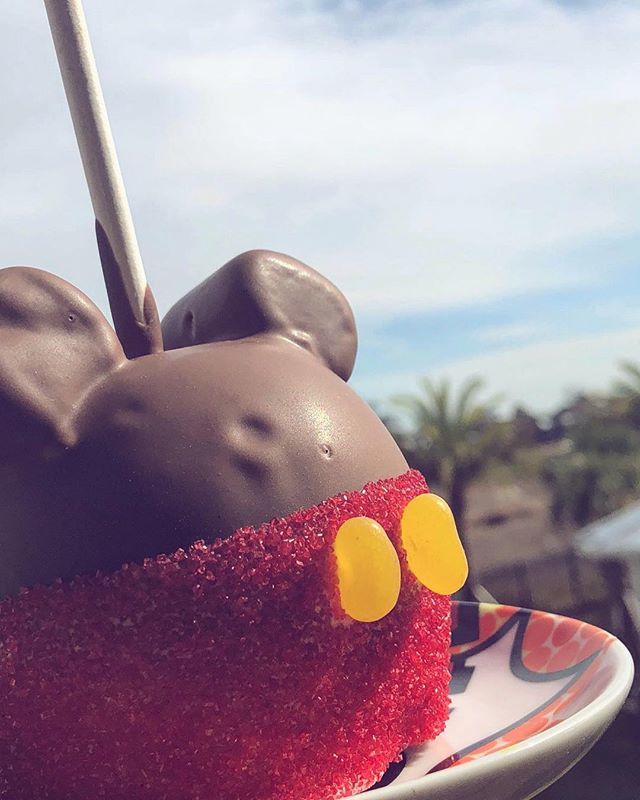 AwMackryn's tweet photo. 19/365 Its a Mickey Apple and sunshine kind of day. ☀️🍎✨⠀
#floridasun #mickeyapple #jellybeans #marshmellows #chocolatecoveredapples #potd📷 #photoadayjanuary https://t.co/0HOwPzOpCc https://t.co/hJSbcBZ0lf