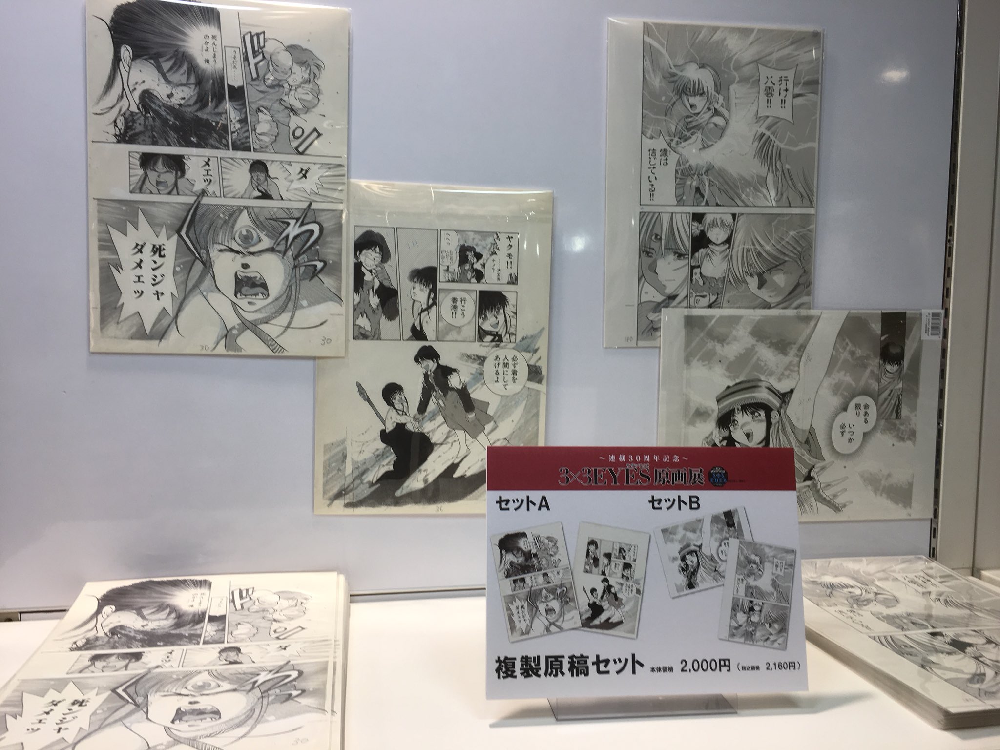 サザンアイズ 3×3EYES 原画展 OFFICIAL ART BOOK - 本