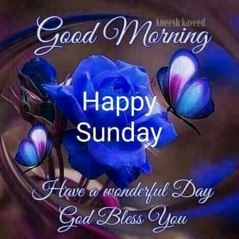 tone (@ashareef75) on Twitter photo 