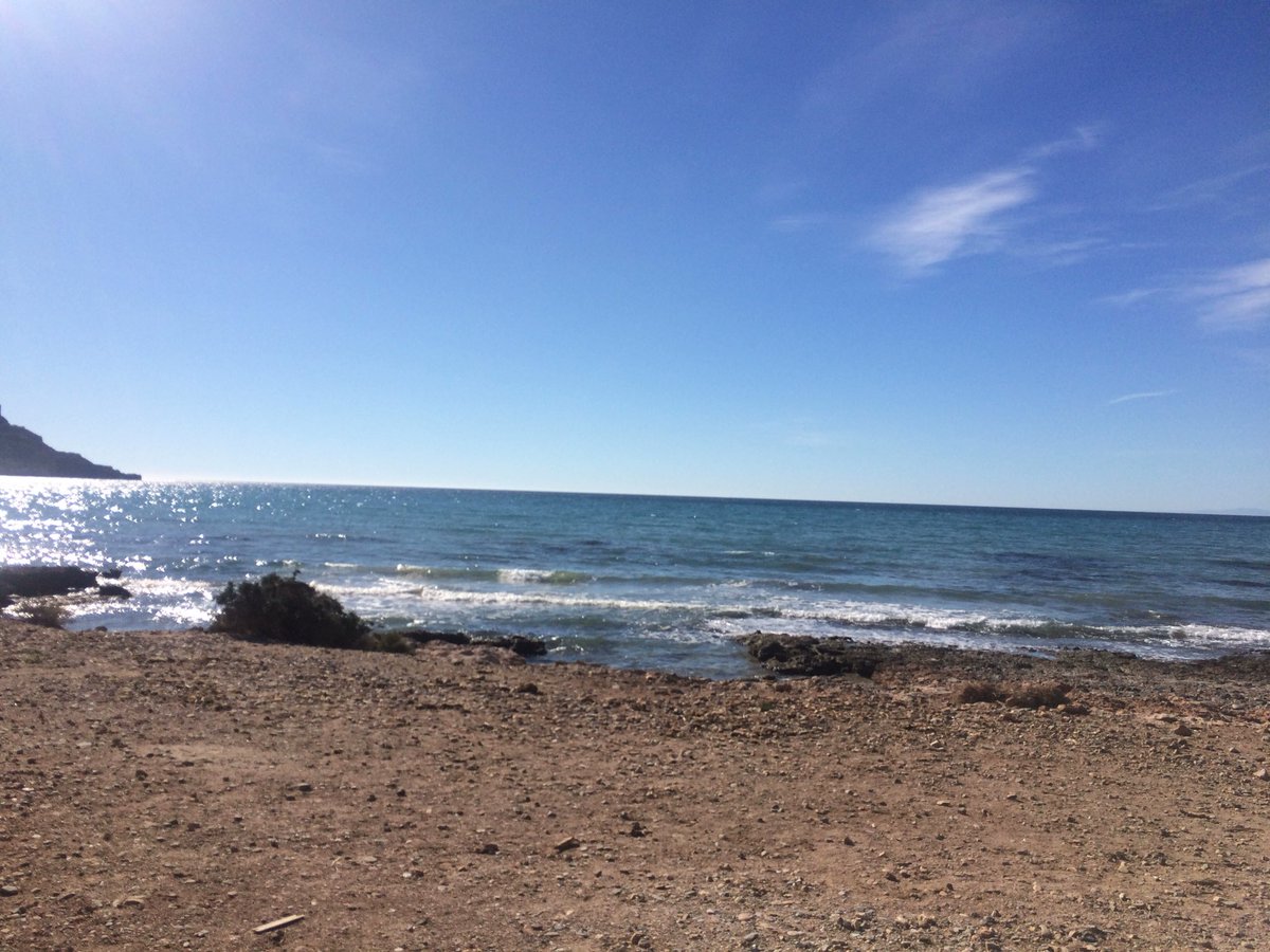 GonzaloReino's tweet photo. Día de difrutar del sol https://t.co/5XZyUvnEId